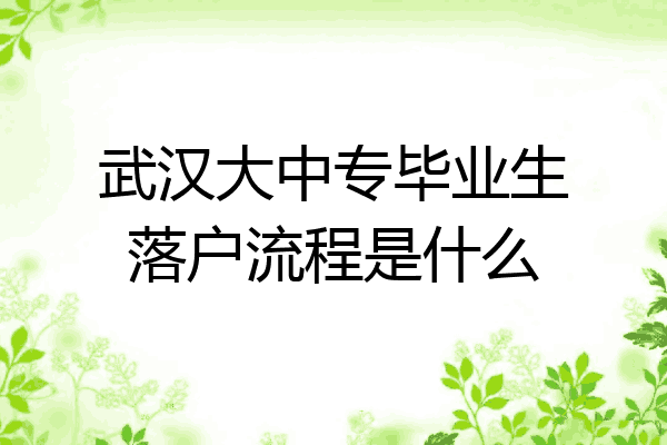 武汉大中专毕业生落户流程是什么