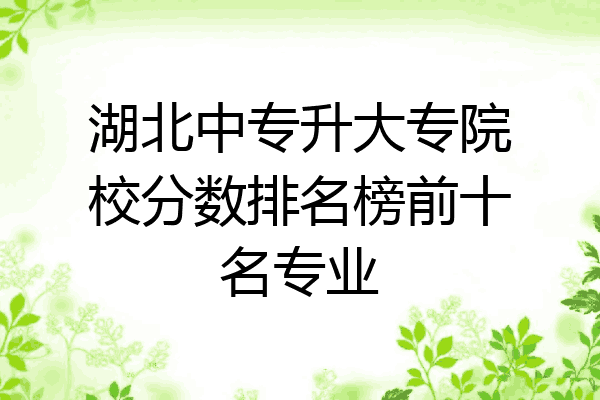 湖北中专升大专院校分数排名榜前十名专业