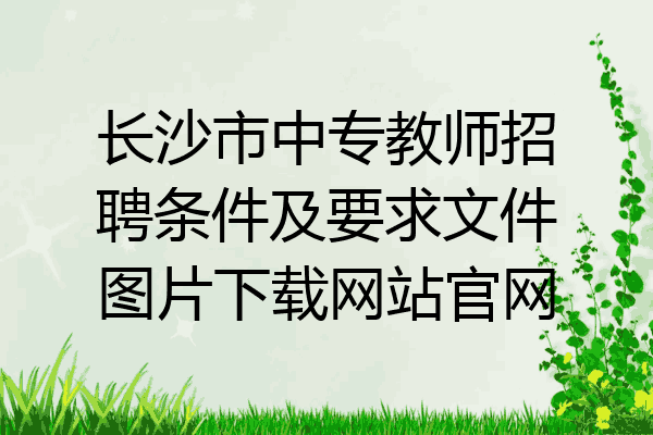 长沙市中专教师招聘条件及要求文件图片下载网站官网