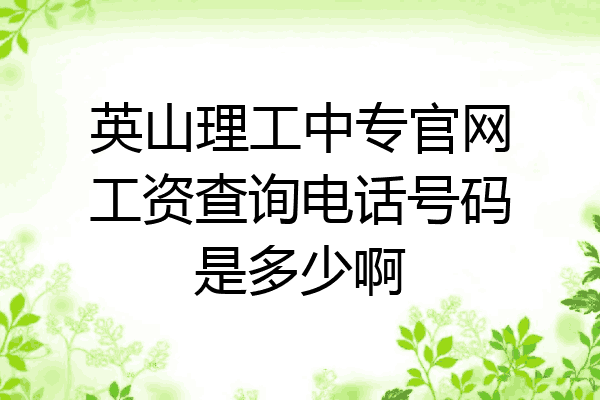 英山理工中专官网工资查询电话号码是多少啊