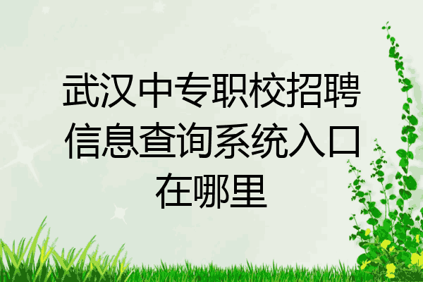 武汉中专职校招聘信息查询系统入口在哪里