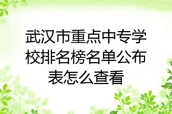 武汉市重点中专学校排名榜名单公布表怎么查看