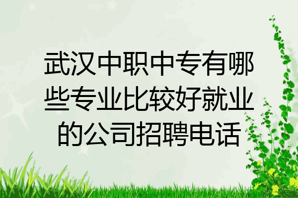 武汉中职中专有哪些专业比较好就业的公司招聘电话