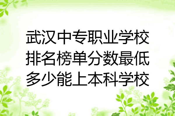 武汉中专职业学校排名榜单分数最低多少能上本科学校