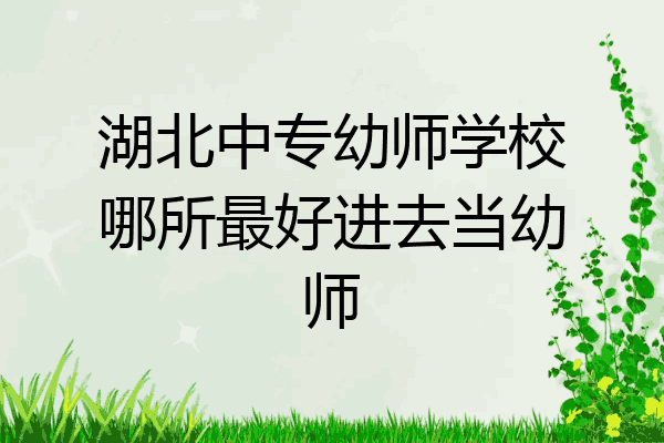 湖北中专幼师学校哪所最好进去当幼师