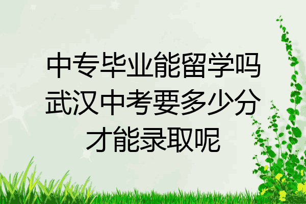 中专毕业能留学吗武汉中考要多少分才能录取呢