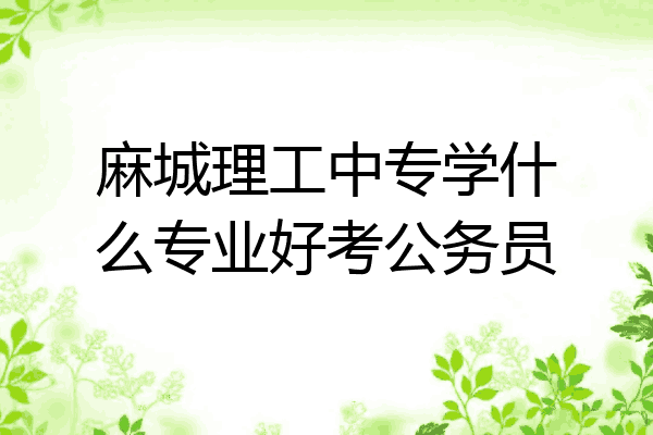麻城理工中专学什么专业好考公务员