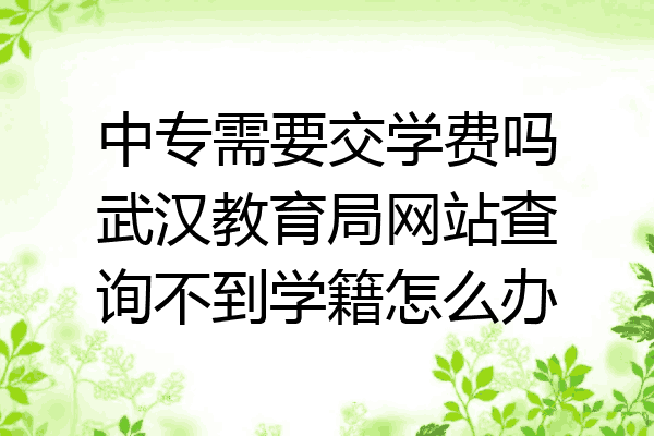 中专需要交学费吗武汉教育局网站查询不到学籍怎么办