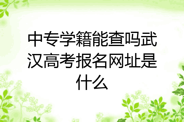 中专学籍能查吗武汉高考报名网址是什么
