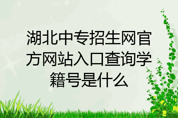 湖北中专招生网官方网站入口查询学籍号是什么