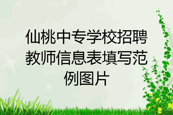仙桃中专学校招聘教师信息表填写范例图片
