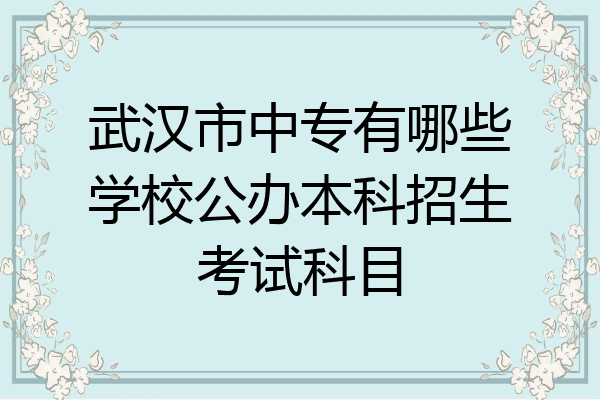 武汉市中专有哪些学校公办本科招生考试科目