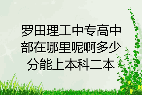 罗田理工中专高中部在哪里呢啊多少分能上本科二本