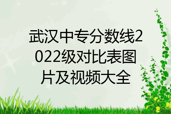 武汉中专分数线2022级对比表图片及视频大全