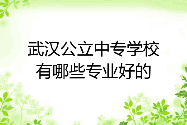 武汉公立中专学校有哪些专业好的