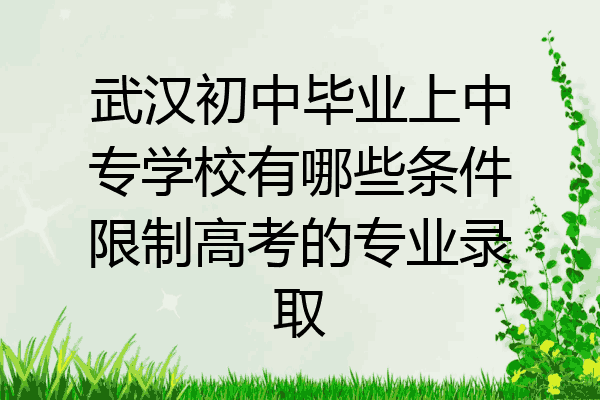 武汉初中毕业上中专学校有哪些条件限制高考的专业录取