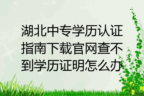 湖北中专学历认证指南下载官网查不到学历证明怎么办