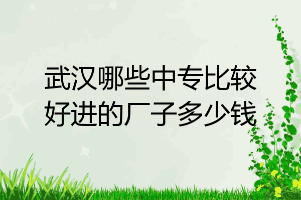 武汉哪些中专比较好进的厂子多少钱