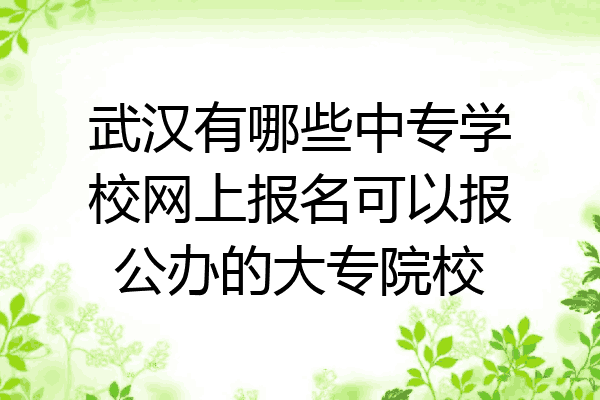 武汉有哪些中专学校网上报名可以报公办的大专院校