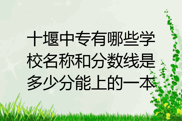 十堰中专有哪些学校名称和分数线是多少分能上的一本