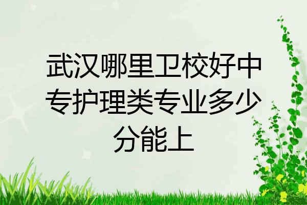武汉哪里卫校好中专护理类专业多少分能上