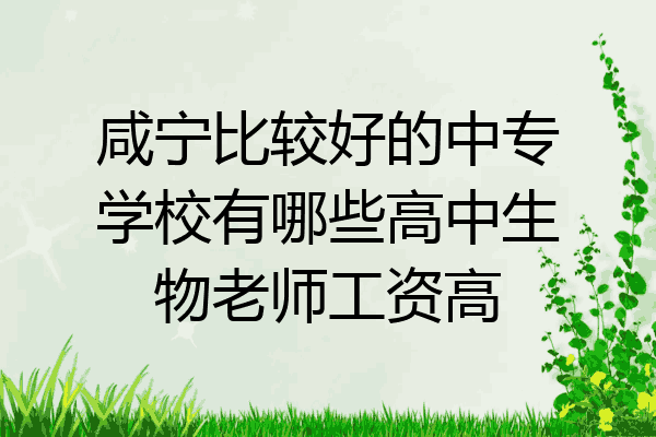 咸宁比较好的中专学校有哪些高中生物老师工资高