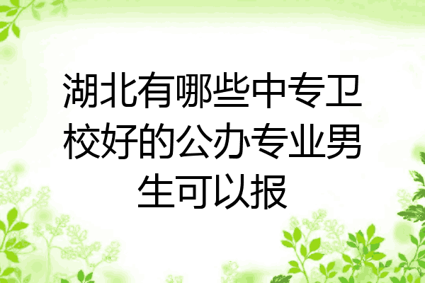 湖北有哪些中专卫校好的公办专业男生可以报