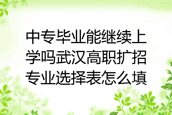 中专毕业能继续上学吗武汉高职扩招专业选择表怎么填
