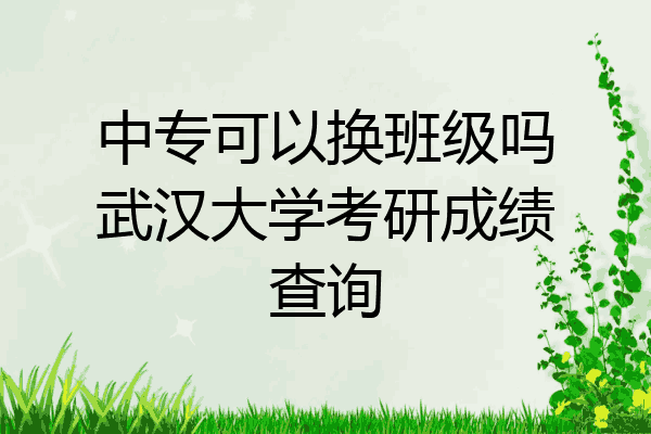 中专可以换班级吗武汉大学考研成绩查询