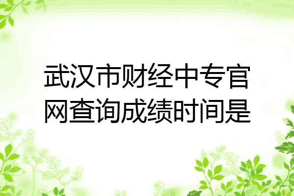 武汉市财经中专官网查询成绩时间是