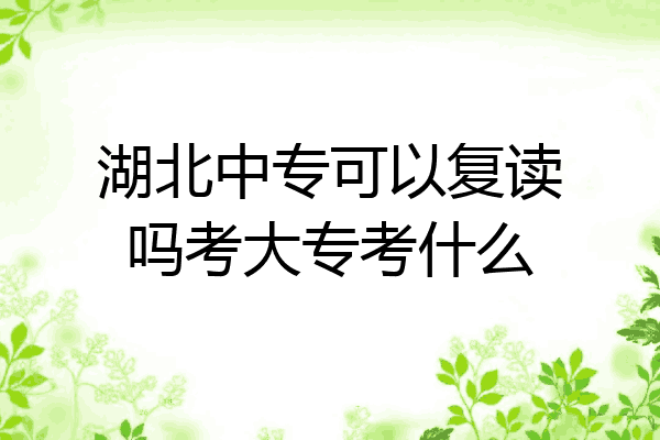 湖北中专可以复读吗考大专考什么