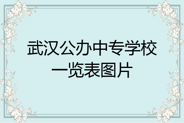 武汉公办中专学校一览表图片