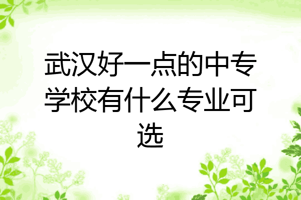 武汉好一点的中专学校有什么专业可选
