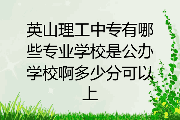 英山理工中专有哪些专业学校是公办学校啊多少分可以上