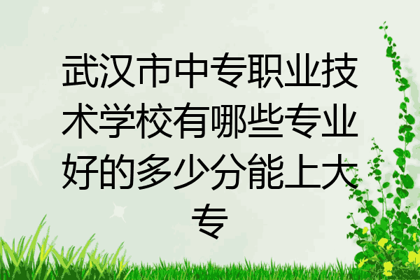 武汉市中专职业技术学校有哪些专业好的多少分能上大专