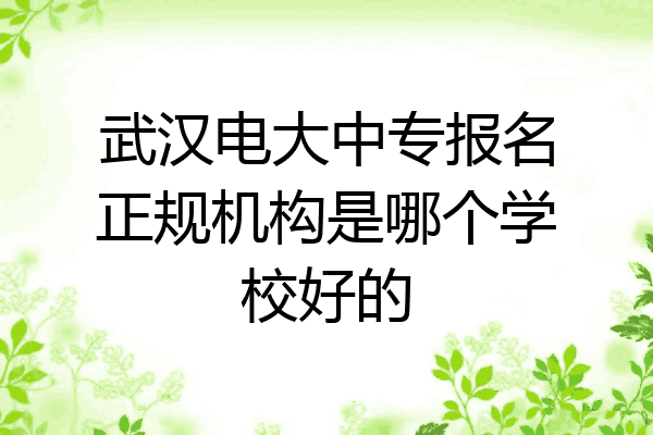 武汉电大中专报名正规机构是哪个学校好的