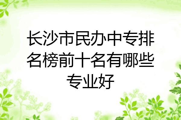 长沙市民办中专排名榜前十名有哪些专业好