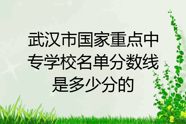 武汉市国家重点中专学校名单分数线是多少分的