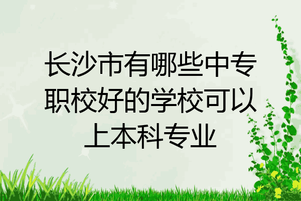 长沙市有哪些中专职校好的学校可以上本科专业