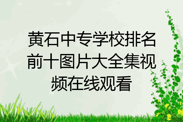 黄石中专学校排名前十图片大全集视频在线观看