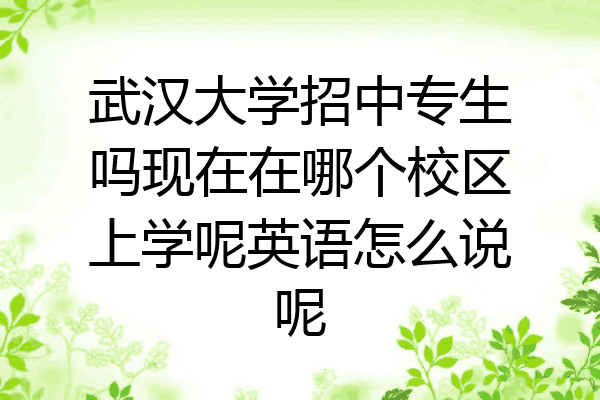 武汉大学招中专生吗现在在哪个校区上学呢英语怎么说呢
