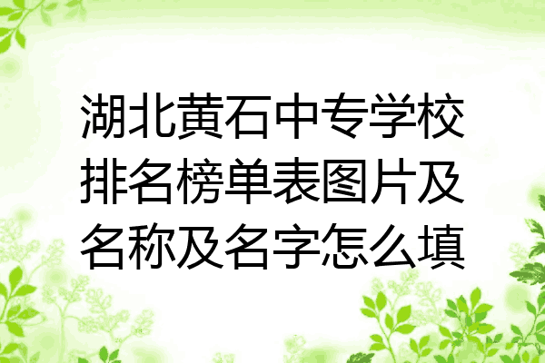 湖北黄石中专学校排名榜单表图片及名称及名字怎么填