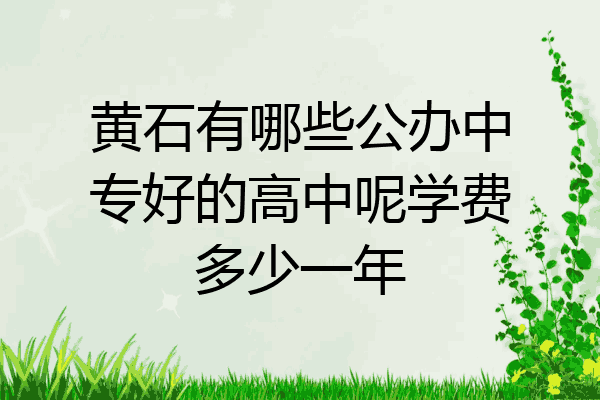 黄石有哪些公办中专好的高中呢学费多少一年