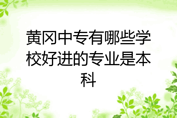 黄冈中专有哪些学校好进的专业是本科