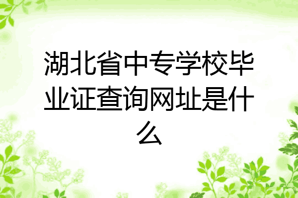 湖北省中专学校毕业证查询网址是什么