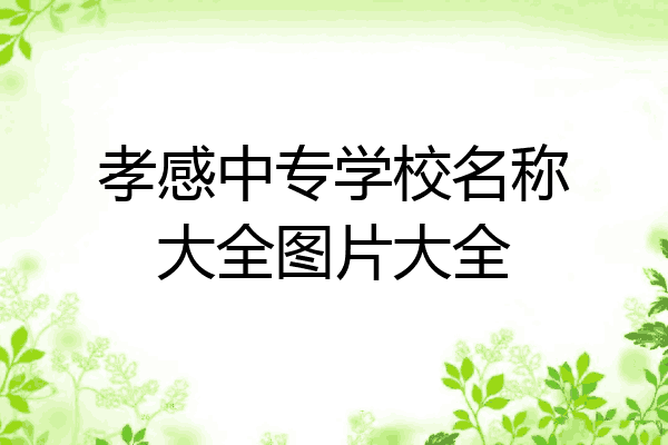 孝感中专学校名称大全图片大全