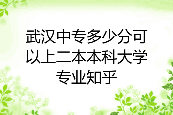 武汉中专多少分可以上二本本科大学专业知乎
