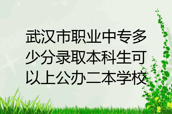 武汉市职业中专多少分录取本科生可以上公办二本学校