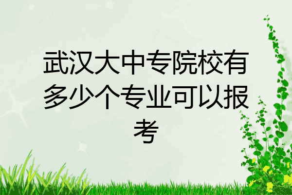 武汉大中专院校有多少个专业可以报考