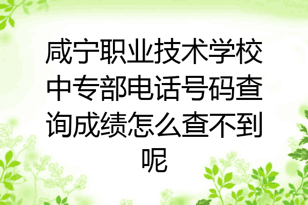 咸宁职业技术学校中专部电话号码查询成绩怎么查不到呢